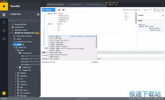 SQL數(shù)據(jù)庫查詢工具下載與計算機軟件咨詢指南